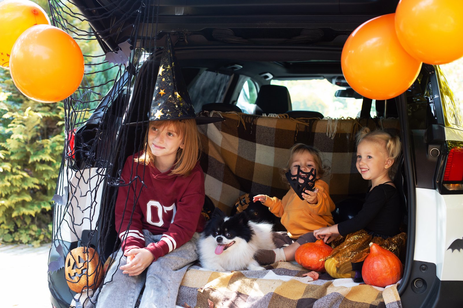 Halloween Bus Party in California
